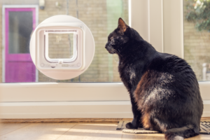 SureFlap_Microchip_Cat_Flap_Connect_Caspian_Small-768x512-1.png