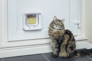 SureFlap_Microchip_Cat_Flap_Connect_Colin_6-768x512-1.png