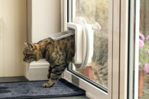 SureFlap_Microchip_Cat_Flap_Side_On_Glass-768x512-1.jpg