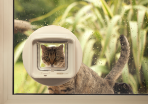 katzenklappe_in_fenster-768x538-1.png